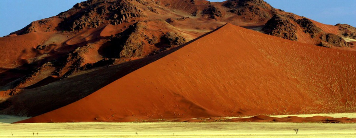 Southern Namibia Safari